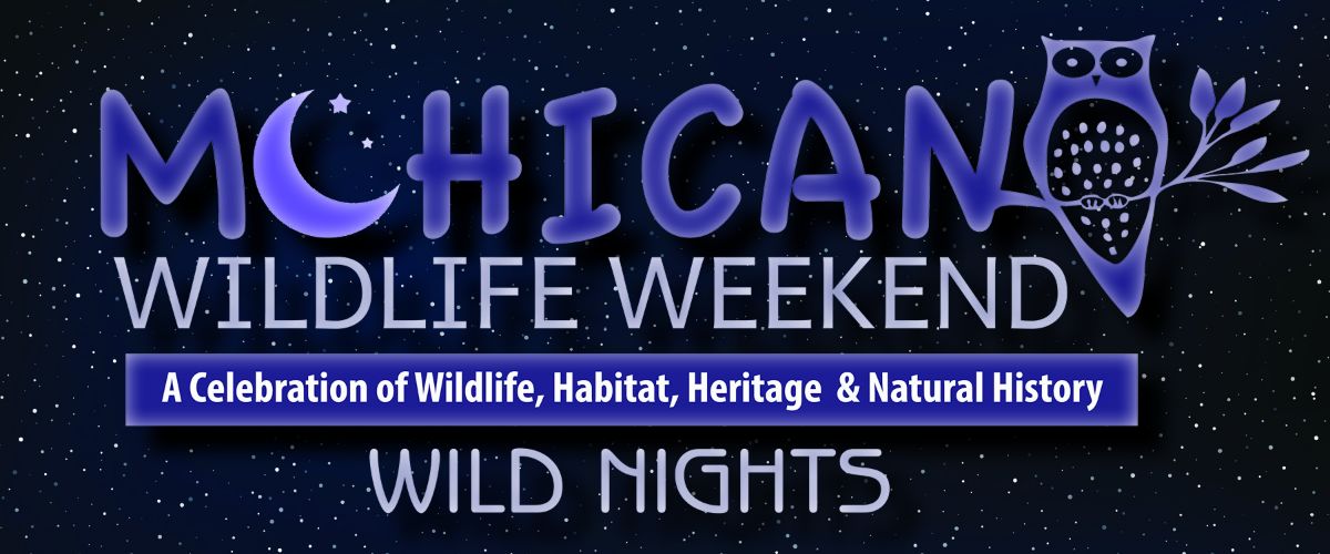 Mohican Wildlife Weekend In a (Buckeye) Nutshell